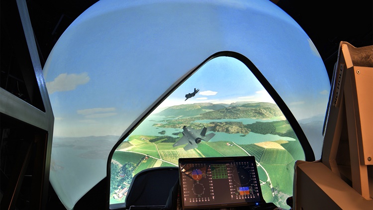 Griffin-2 visual system