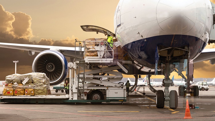 Loading a cargo plane at the airport